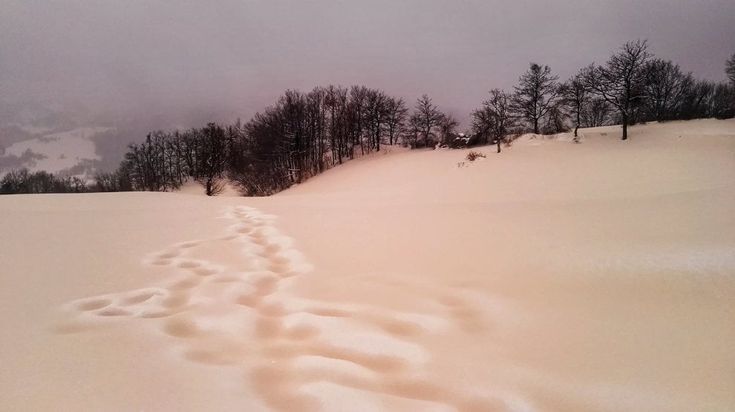 In Toscana la neve è rosa: lo spettacolo sugli Appennini 