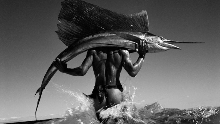Gian Paolo Barbieri e le sue innaturali meraviglie
