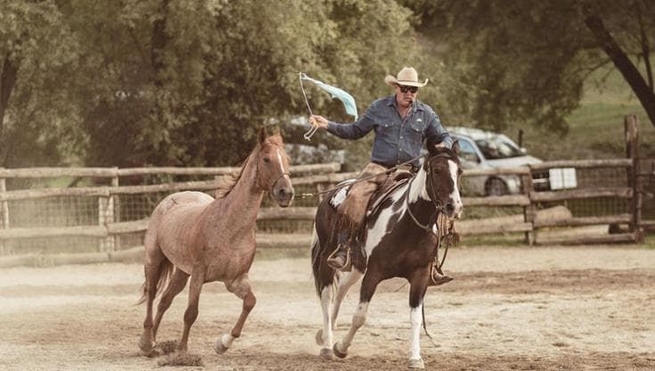 Fieracavalli apre le porte allo spettacolo del dressage
