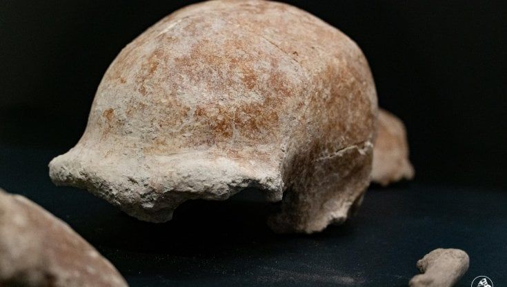 I Neanderthal non erano cannibali, sono state le iene a mangiarli
