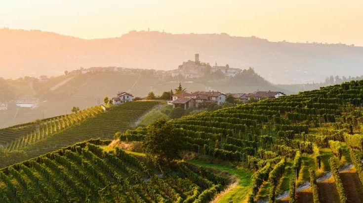 Il settore delle Dop e Igp italiane supera per la prima volta i 20 miliardi di euro