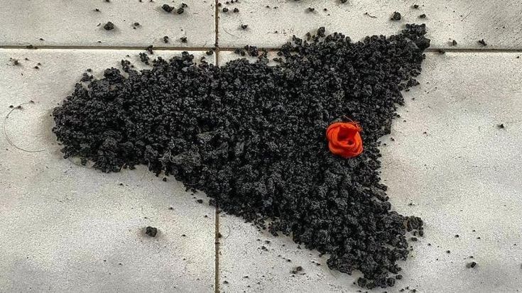 La cenere dell’Etna e le ricerche del Cnr: “Le sue falde tra le più fertili d’Europa”