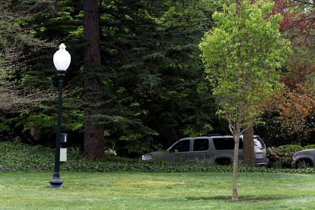 Mistero alla Casa Bianca, scompare l'albero piantato da Trump e Macron 