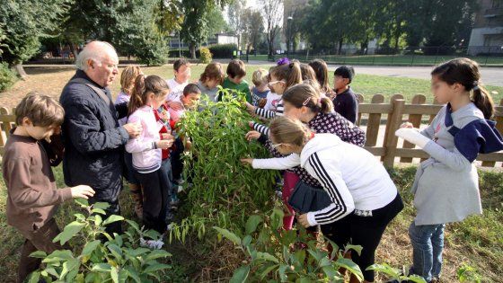 Milano, basta con l'inglese: orto, cucina e danza diventano materie nelle 'scuole aperte'