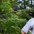 Hayao Miyazaki, i segreti del Maestro dello studio Ghibli