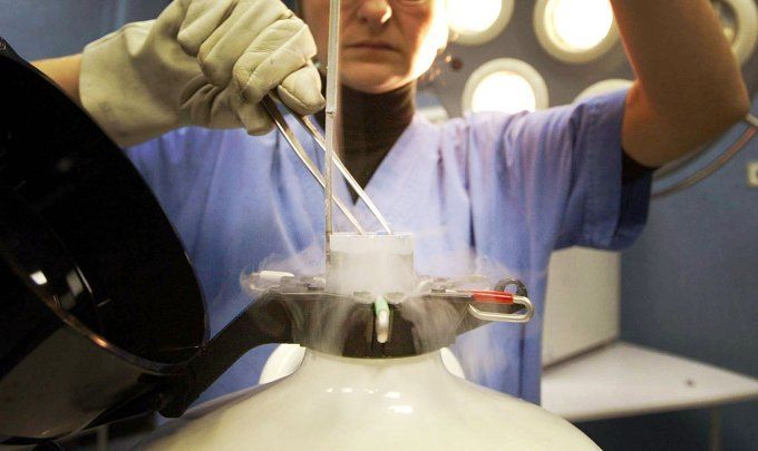 Fecondazione, Corte Strasburgo: "Divieto ricerca su embrioni non viola diritti umani"