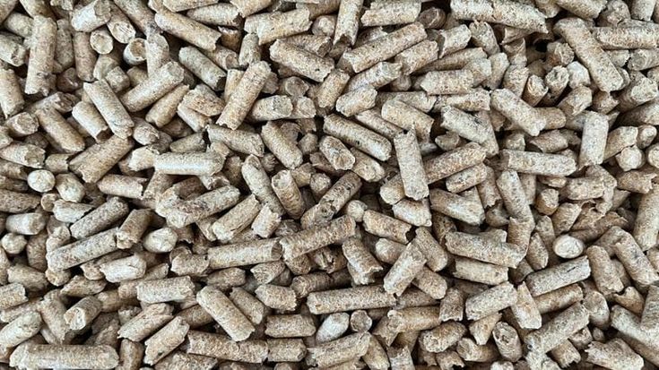 Trasformare gli scarti di produzione da “problema” in “risorsa”: il progetto BIO4BIO