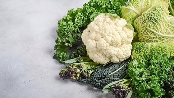 Un pieno di sapore (e salute) con i cavoli: è iniziata la stagione perfetta
