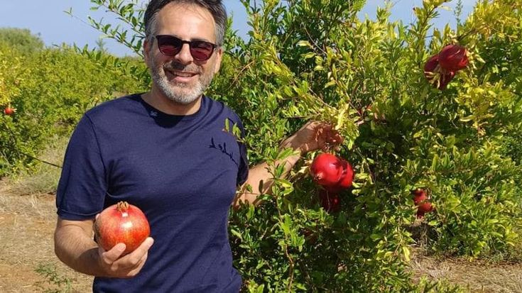 Primo raccolto delle melagrane piantate nel terreno tolto alla mafia: “I frutti di un crowdfunding”