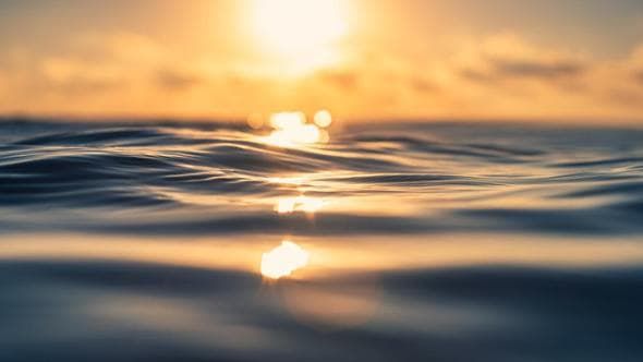 Gli oceani sono bollenti, per loro è stato un giugno con temperature mai registrate prima