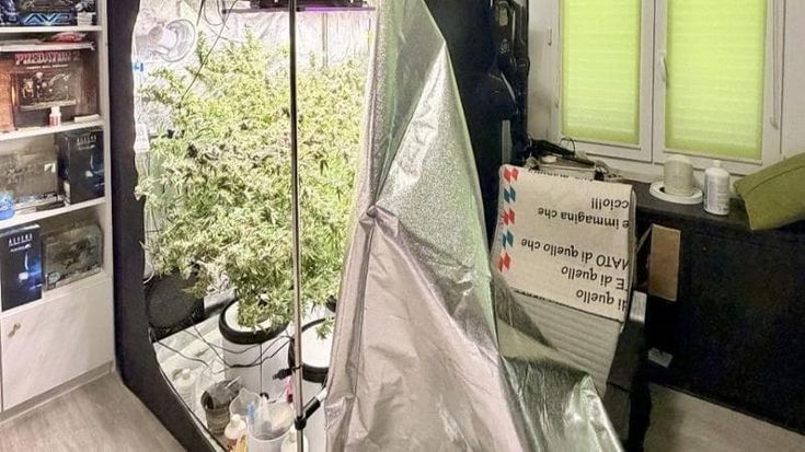 Arrestato il “contadino urbano”che coltivava cannabis in casa