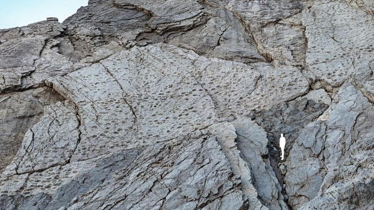 Scoperte migliaia di orme di dinosauri nel Parco dello Stelvio