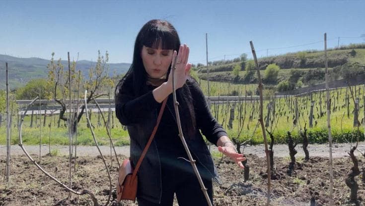 In vigna con Elena Fucci: "La mia storia, con il cuore nell’Aglianico del Vulture"