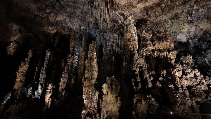 Una gita a Collepardo, viaggio al centro della terra nella foresta pietrificata dell'età del bronzo