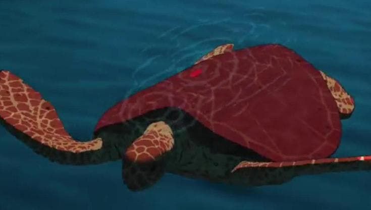 Il lunedì del cinema, in streaming il 21 luglio il film 'La tartaruga rossa'