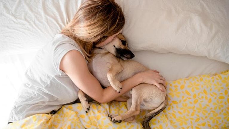 Sonno, come cambia se portiamo il cane nel letto