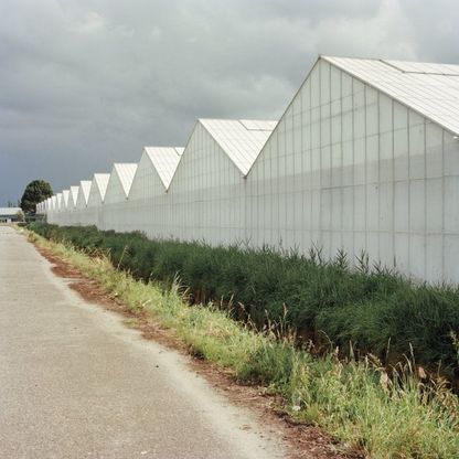 'Invernados', Gaia Cambiaggi indaga le trasformazioni del sistema di produzione agroalimentare 