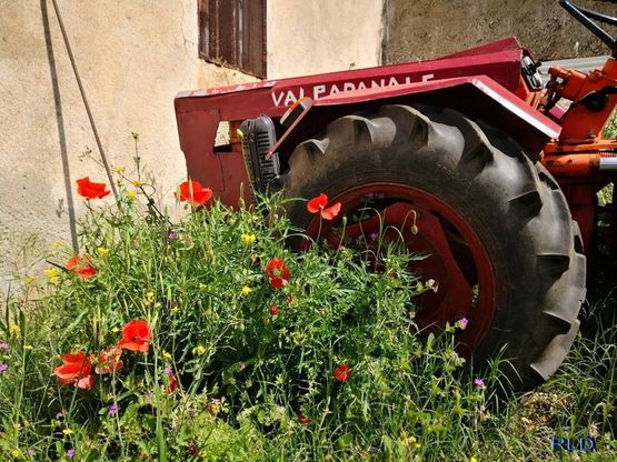 La rivincita della natura. Le vostre foto / 4