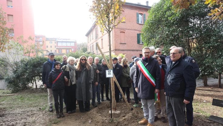 L’albero che ricorda Marco Bonamico crescerà accanto al PalaDozza