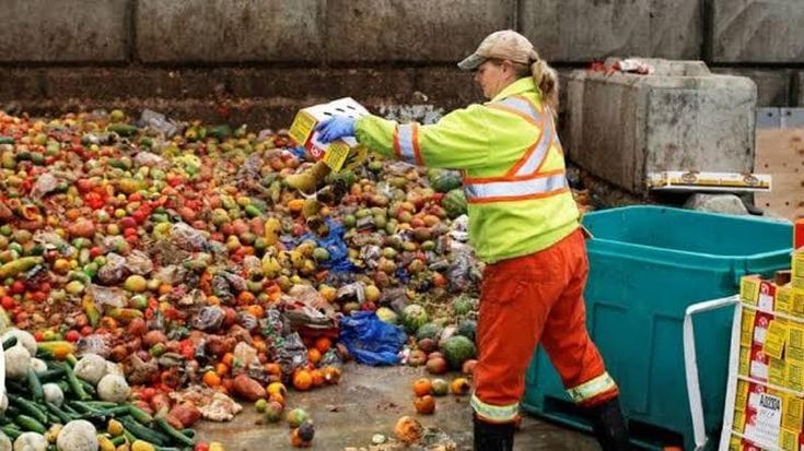 Sprechi alimentari, il 13,4% del cibo prodotto nel mondo va perso dopo il raccolto prima del consumo