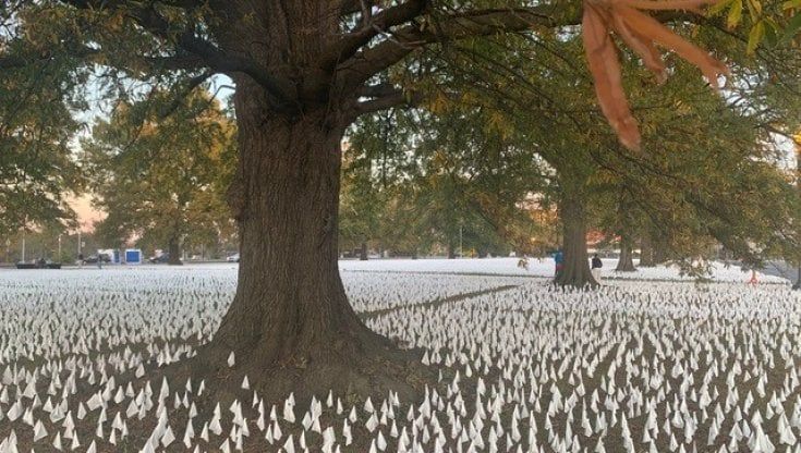 Usa, ogni vittima una bandierina: il campo dei caduti per il Covid. L'artista: "Ispirata dalle immagini di Bergamo"