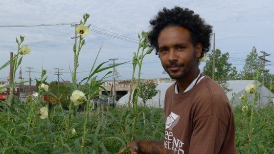 Gli ortaggi (e il 'green') salveranno Detroit