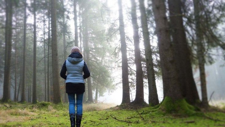 Un albero per ogni studente straniero che arriva in città: così si compensa l'impatto ambientale del viaggio