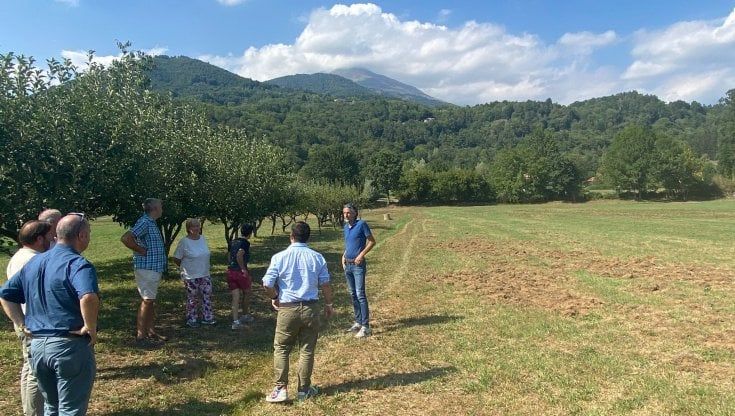Allarme cinghiali, campi martoriati e addio pascolo: “Perderemo le attività in montagna”