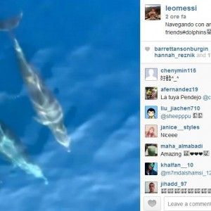 Messi testimonial del mare nel golfo di Napoli: tour, bagni e foto di un incontro con i delfini al largo di Ischia