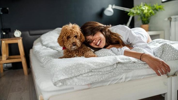 Turismo, boom per gli hotel pet friendly