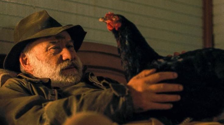 La resilienza del pollo
