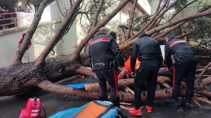 Il vento sradica un pino, travolte 5 persone nel campus universitario di Fisciano. Grave un 25enne