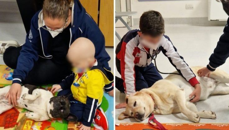 Bari, la pet therapy per i bambini malati di tumore raddoppia: al Policlinico due sedute a settimana con Megan, Maya e Camilla