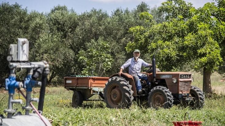 Turisti e asili: la svolta in agricoltura