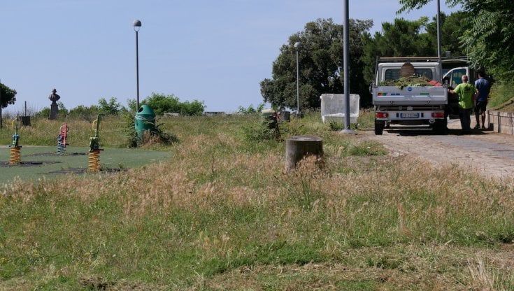 Parco Virgiliano, via l’effetto campo di grano
