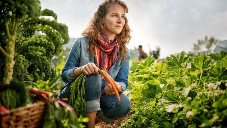 Sostenibilità e agricoltura: il binomio trova sempre più consensi nelle nuove generazioni