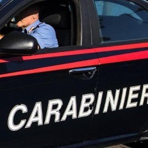 Torino, tentata violenza sessuale ad una donna che portava a spasso il cane