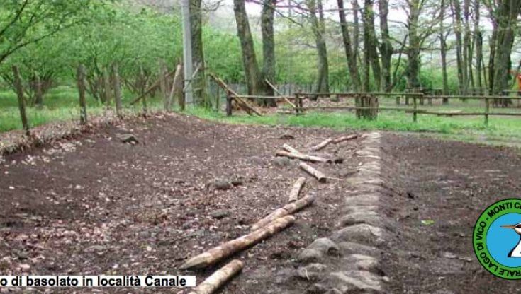 Lago di Vico, riserva chiusa da oltre un anno per alberi pericolanti. Escursionisti in rivolta