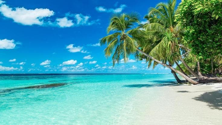 Giornata Mondiale degli Oceani, il futuro dei mari dipende da noi