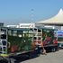 Fiumicino, caos bagagli. In rivolta lavoratori Alitalia: "Smagnetizzati i bagde, ci stanno mandando via"