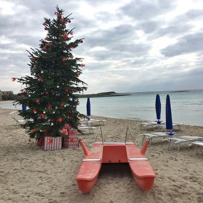 Lettino, ombrellone e albero: l'altro Natale del Salento 