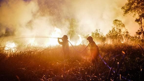 Il super El Niño sta già causando gravi danni: ecco che cosa ci aspetta