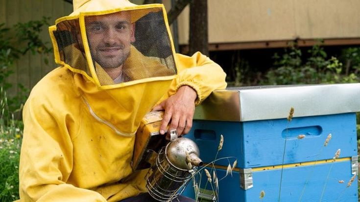 “Ero ingegnere e ora apicoltore, in ufficio non resistevo più”