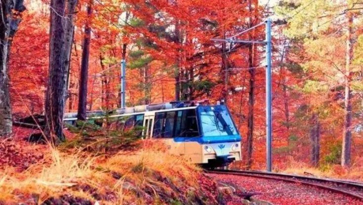 Il caldo spegne il foliage: sul treno delle meraviglie orfano dell'autunno