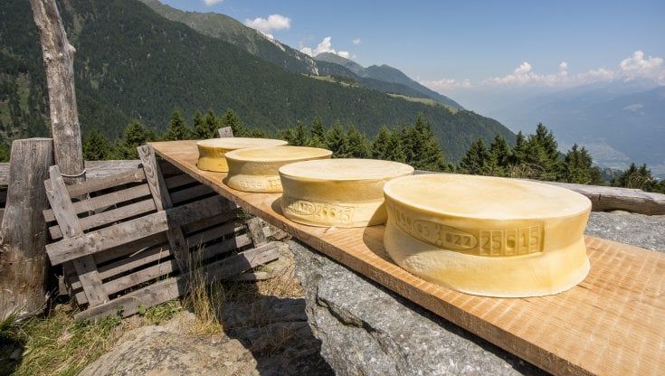 Valtellina, "Alle origini del gusto" dei formaggi Casera e Bitto
