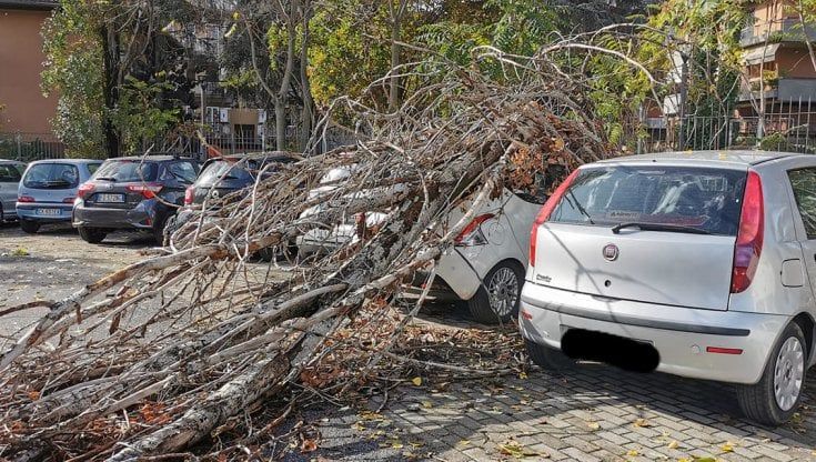 Maltempo Roma, allagamenti e rami caduti: 300 interventi dalla Tiburtina all'Eur