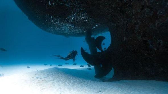 Maldive, una nuova barriera corallina grazie a una nave affondata