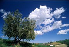 Con Rossini passione lirica
