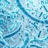 Diabete, il microbiota intestinale lo prevede con anni di anticipo