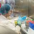 Nuovo colpo di scena sulle origini del Covid: scienziato recupera 13 sequenze del virus archiviate prima del dicembre 2019